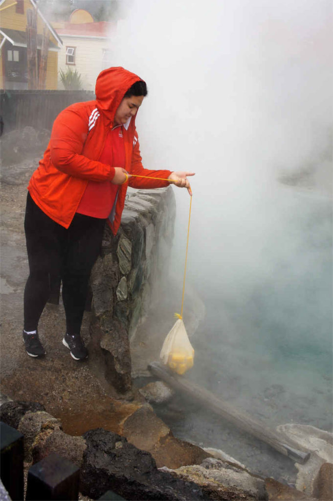 geotermia, Nowa Zelandia