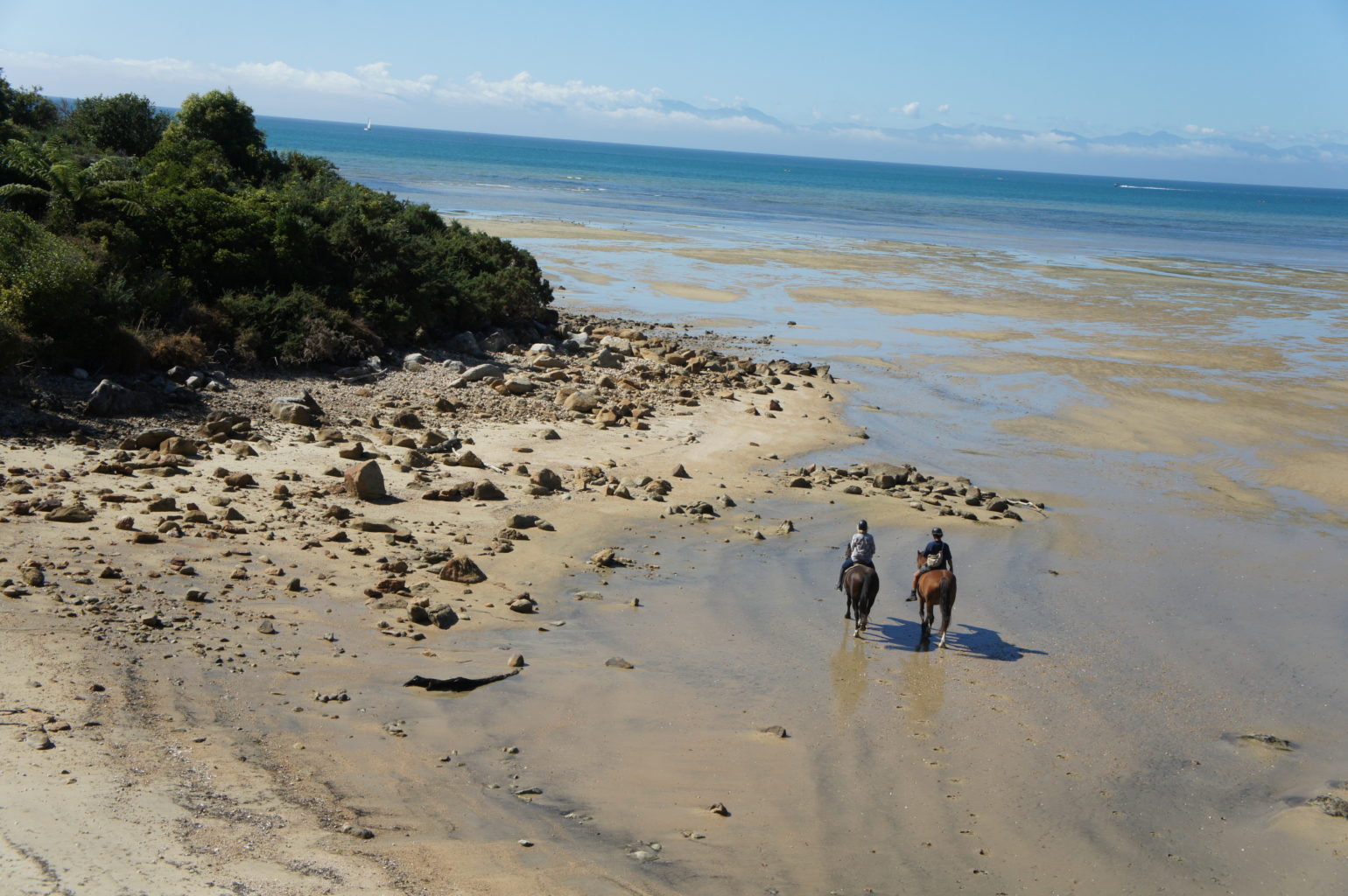 Nowa Zelandia - Abel Tasman National Park