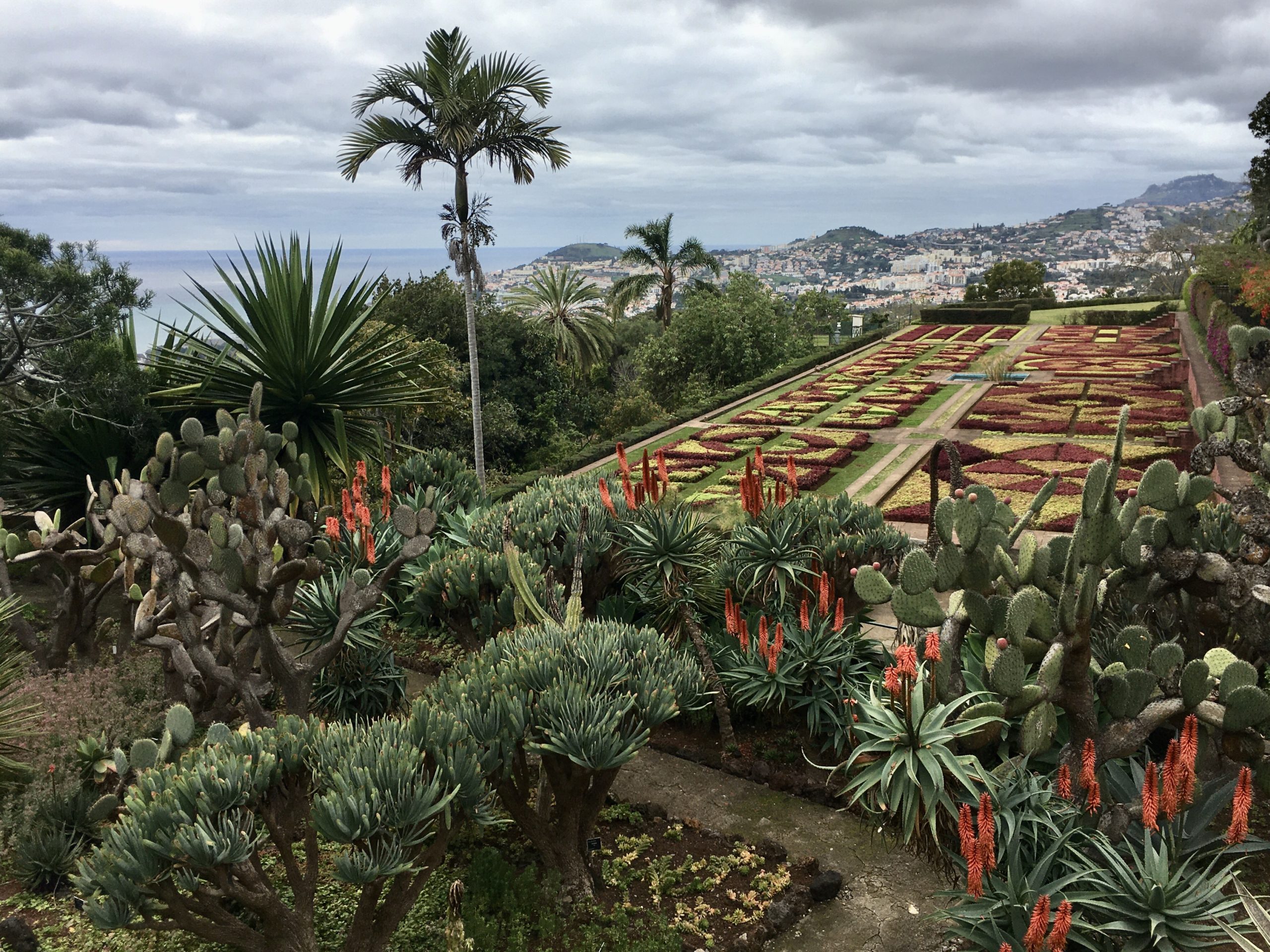 Ogród Botaniczny na Maderze