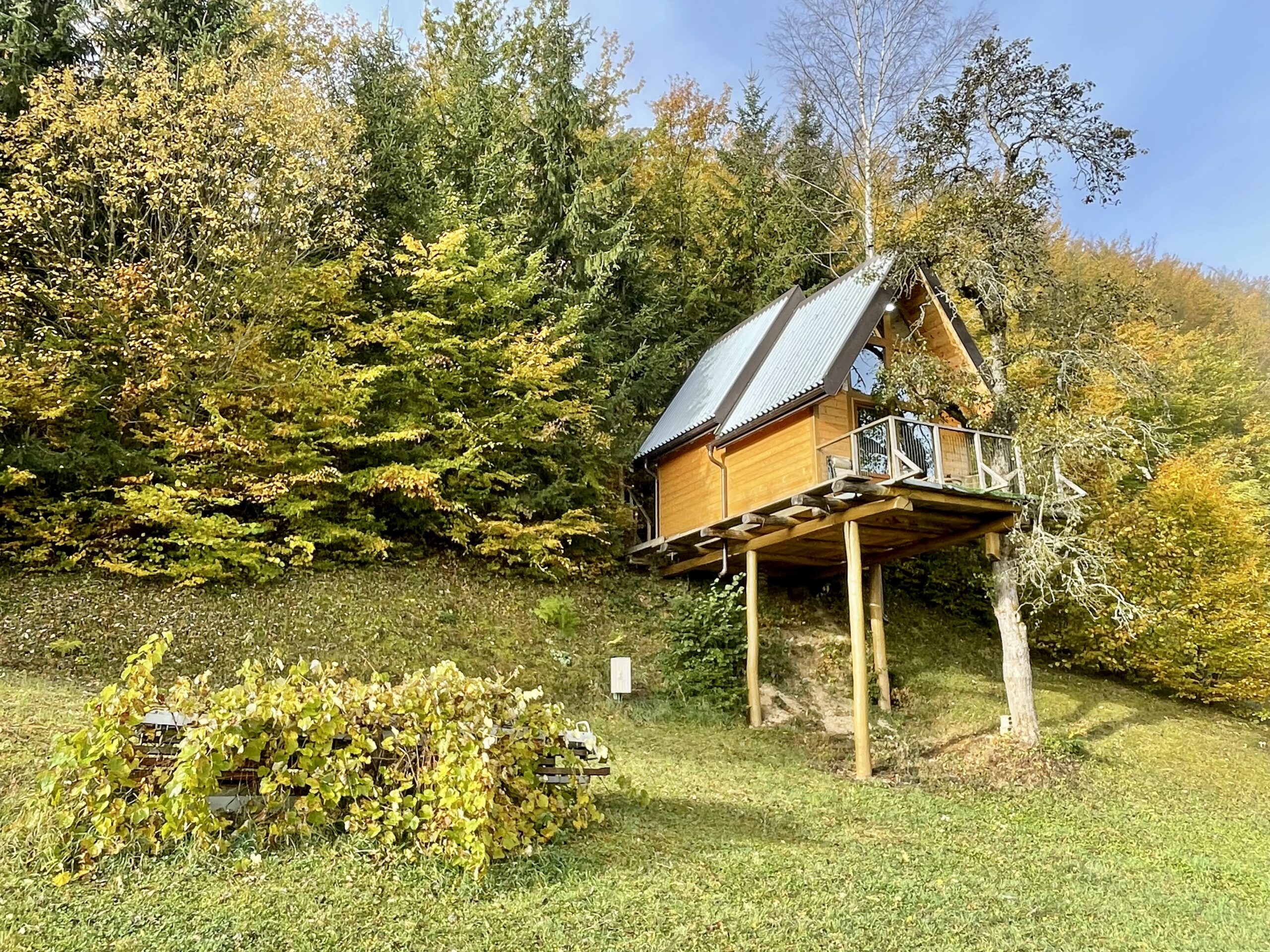 Domek na drzewie w „Tara Resort - Camp Rabrenovic”