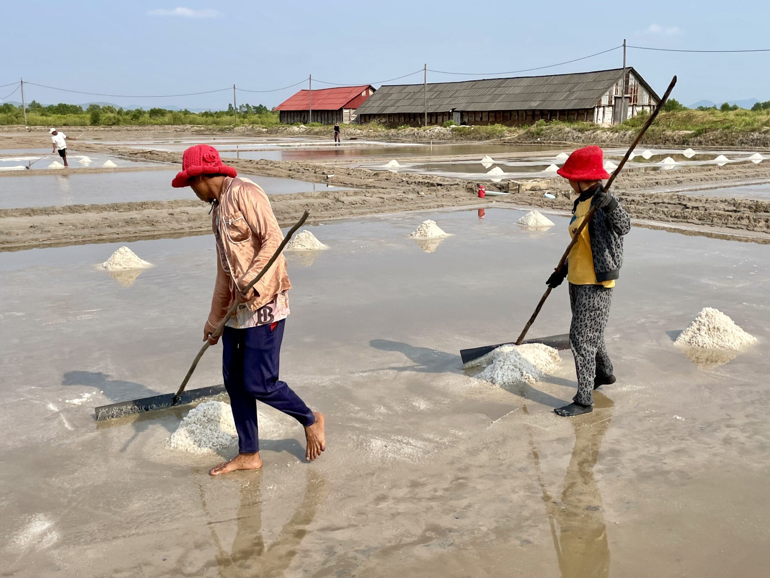 Pozyskiwanie soli na przedmieściach Kampot