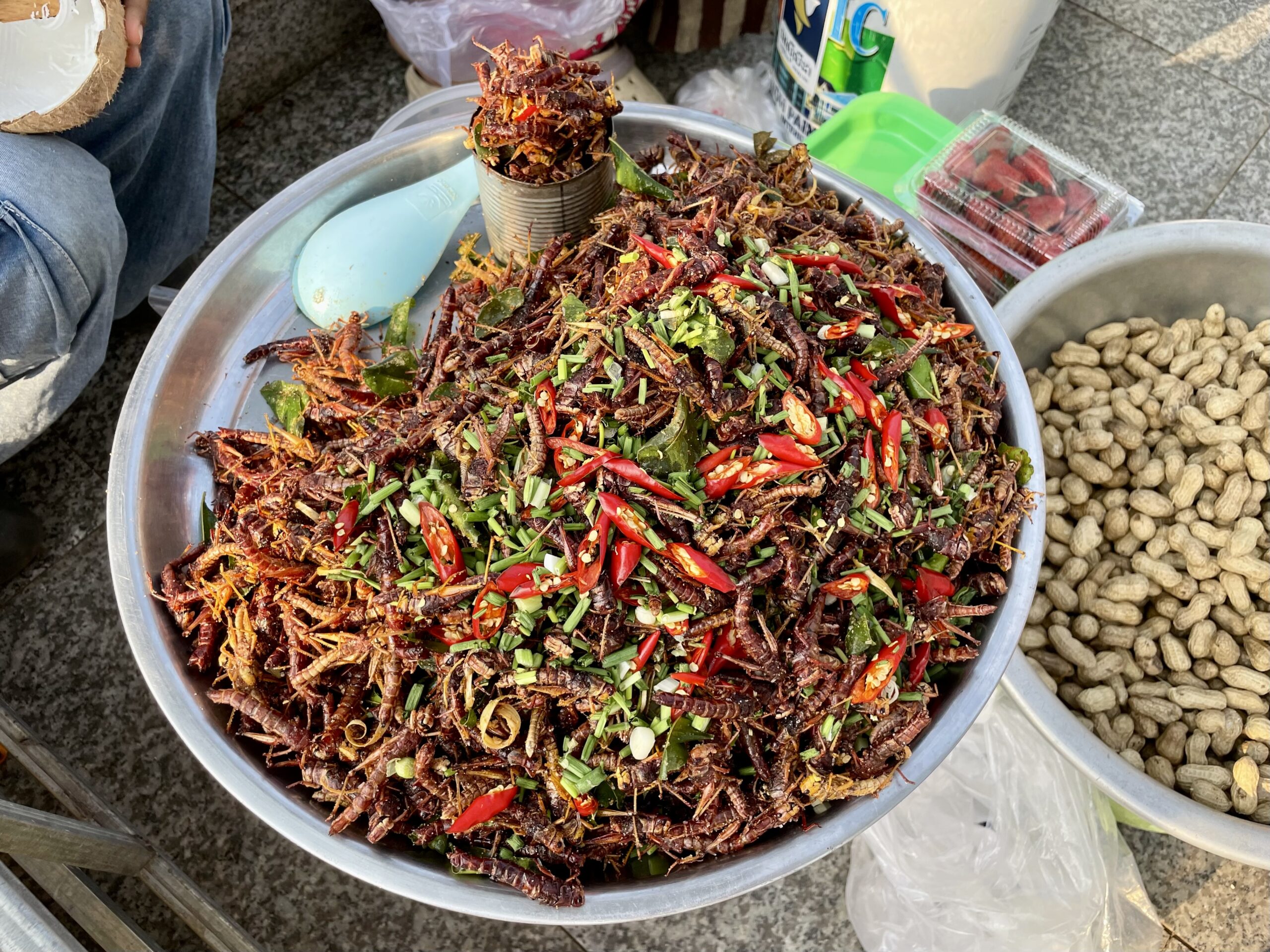 Insekty - przekąska dla odważnych