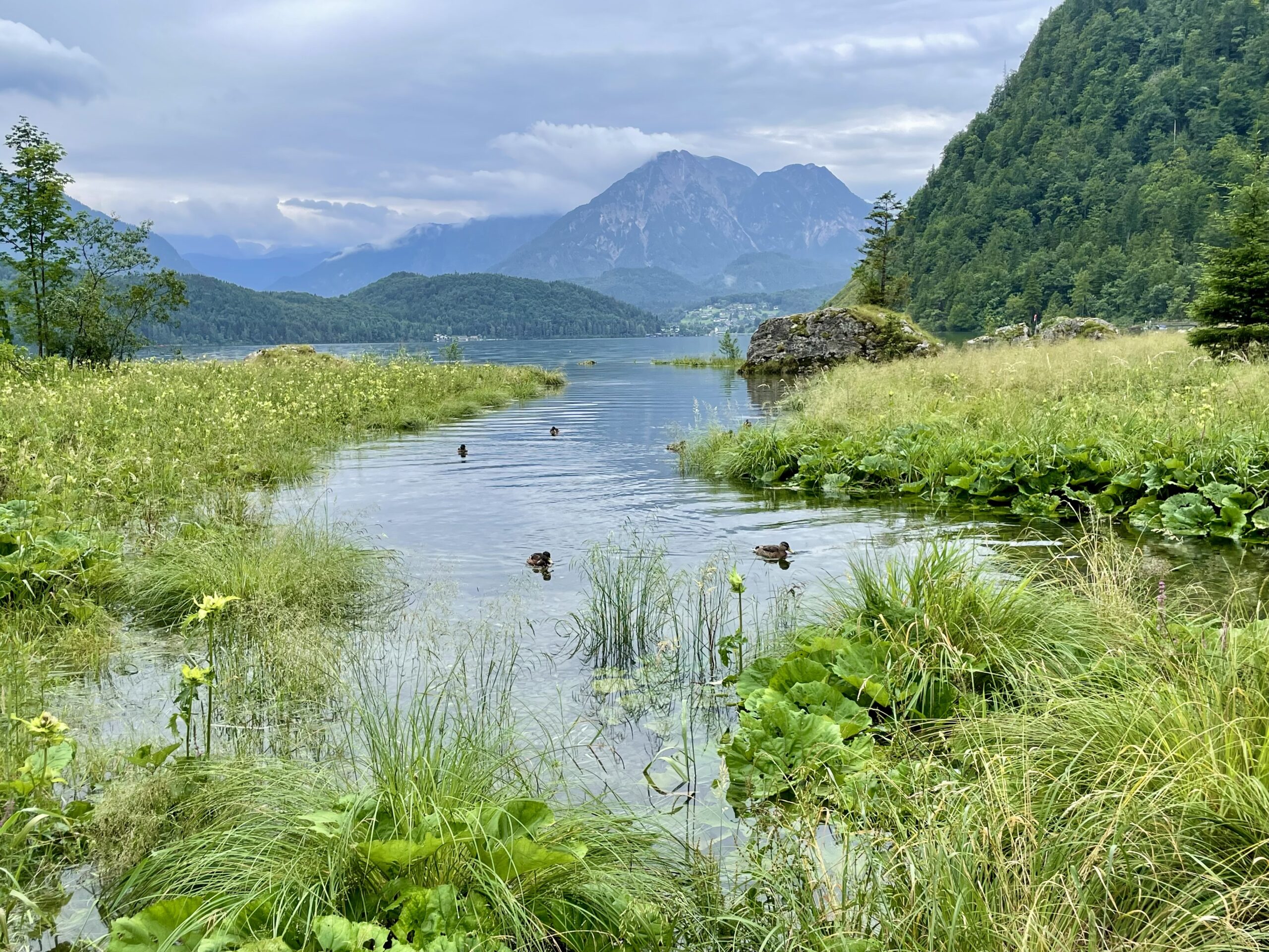 Wokół wielu jezior regionu Ausseerland poprowadzono ścieżki spacerowe
