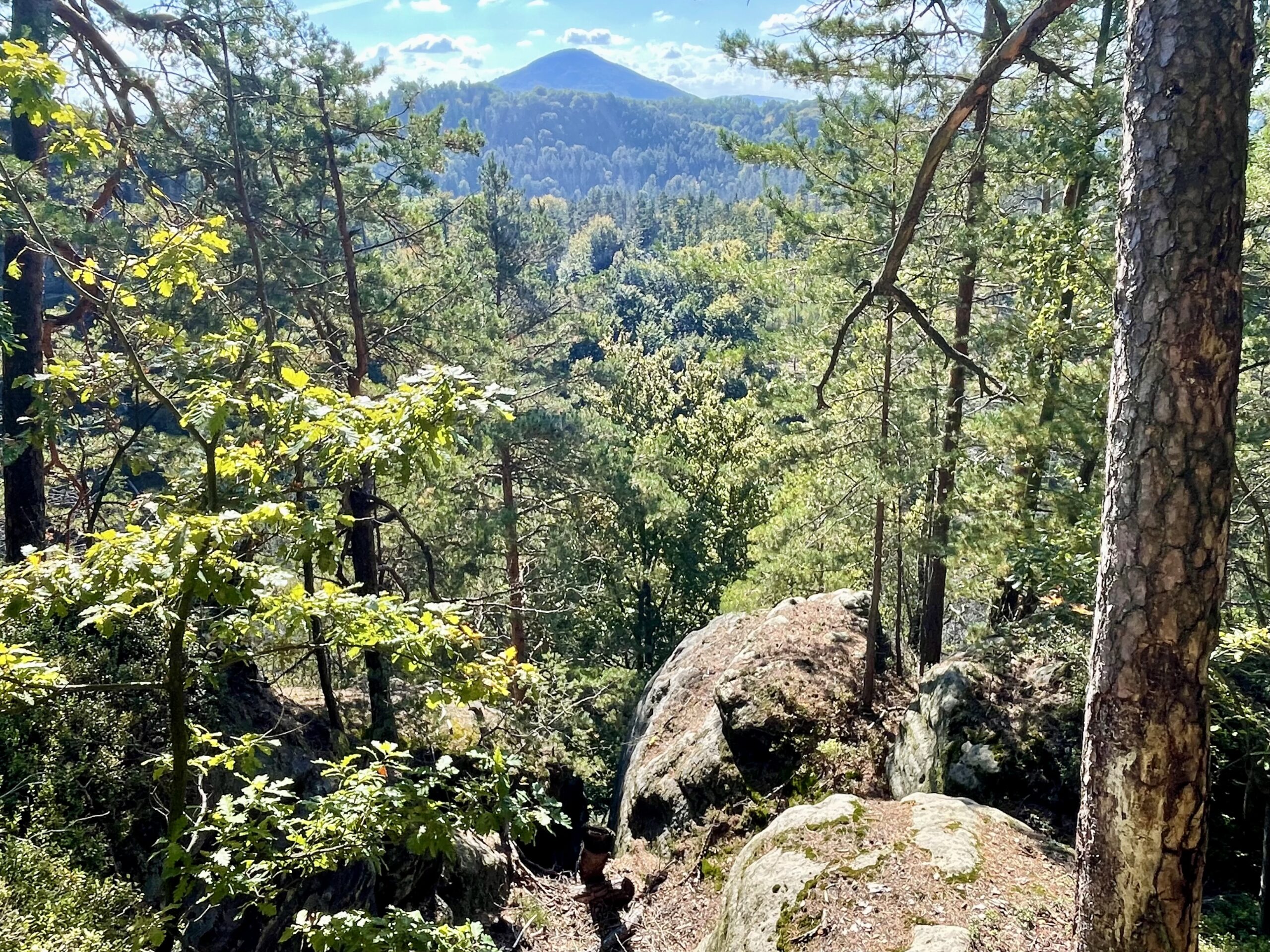 Hřebenovka prowadzi zarówno po wypłaszczonych górach, jaki tych pełnych skalnych urwisk