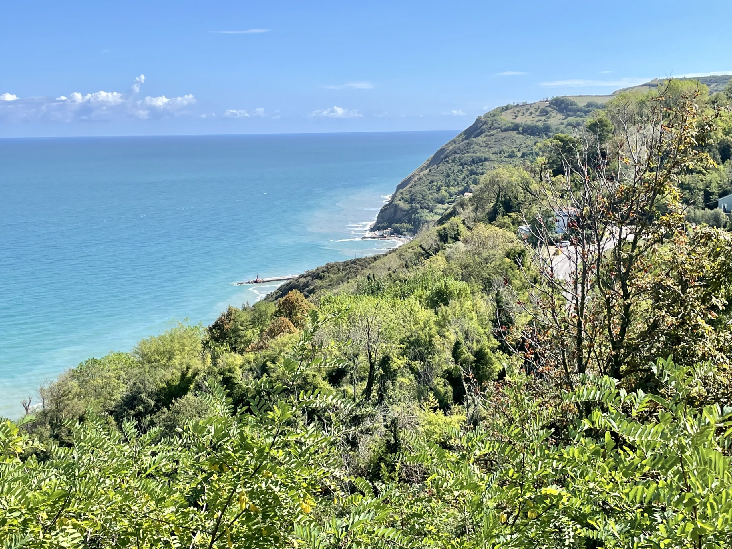 Wybrzeże w okolicach Rimini